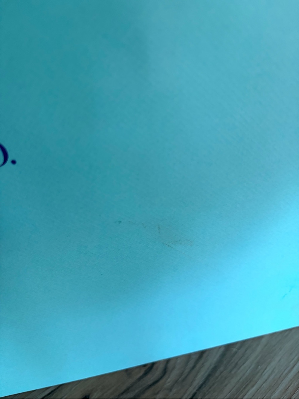 Large Tiffany & Co. bag - Picture 3 of 3